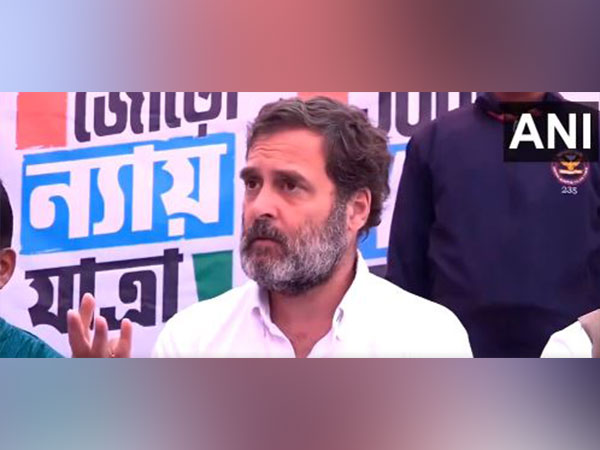 Congress Leader Rahul Gandhi (Photo/ANI)