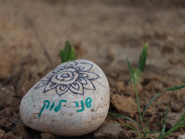 A stone with the name Shani Louk at a memorial for the victims of the Nova music festival massacre (Photo/TPS)