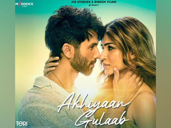 Shahid Kapoor, Kriti Sanon (Image Source: Instagram)