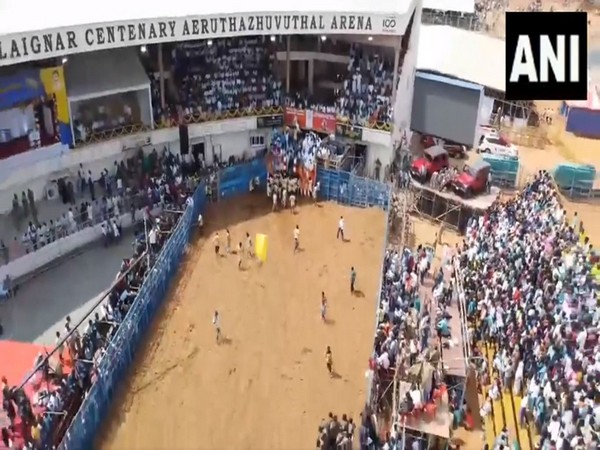 Drone visuals of the Jallikattu event at the newly constructed Jallikattu Arena (Image/ANI)