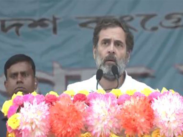 Congress leader Rahul Gandhi (Photo/ANI)