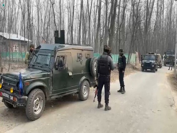 Security forces deployed in Pulwama (Photo credit/Police)