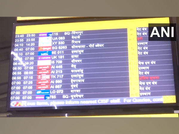Visual from the IGI Airport Delhi (Photo/ANI)