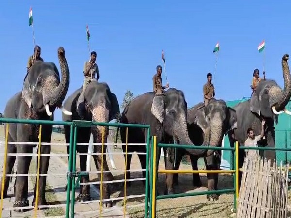 Visual from the Mudumalai Theppakadu Elephant Camp. (Photo/ ANI)