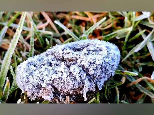 Visual from  Ooty (Photo/ANI)