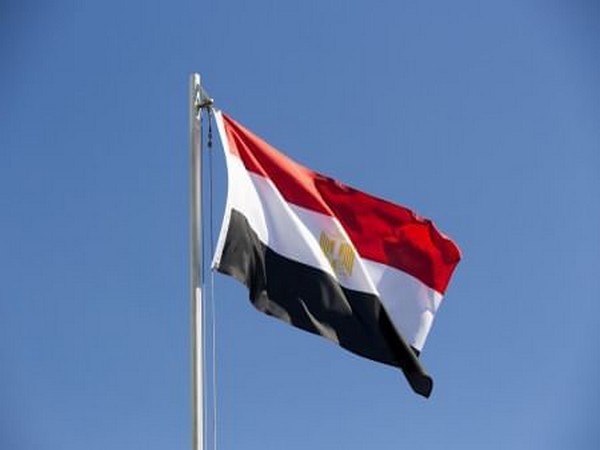 Flag of Egypt (Source: WAM)