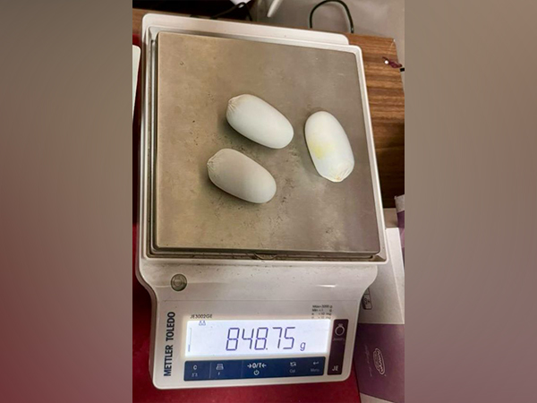 Suspected gold seized at Kochi airport (Photo/ANI)