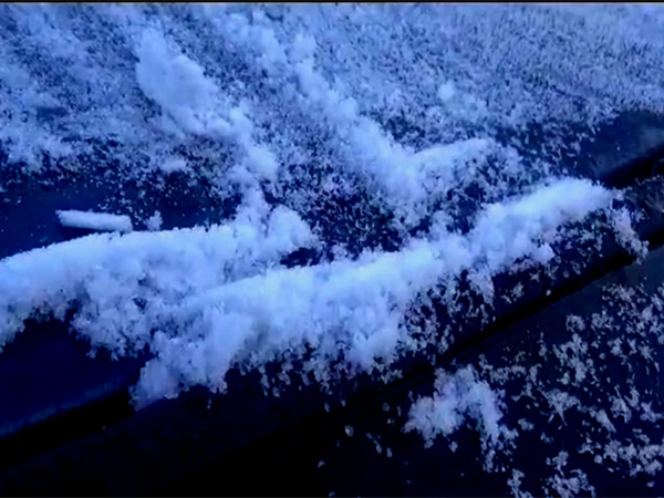 Tamil Nadu's Ooty looks like mini Kashmir with minimum temperature dipping to 1.3 degrees Celsius (Photo/ANI)