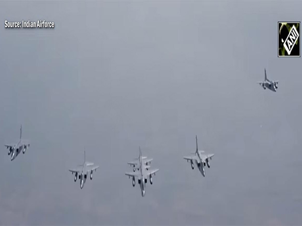 Indian Air Force fighters in formation flying (File Photo)
