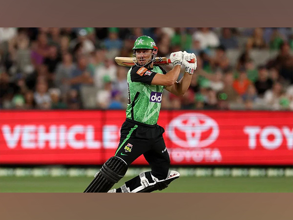 Marcus Stoinis (Photo: Melbourne Stars)