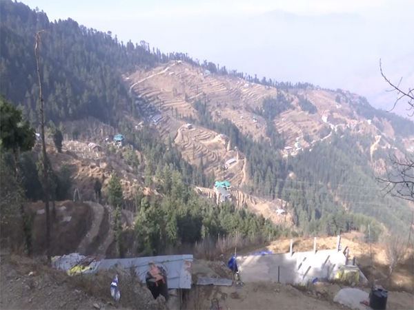Agricultural land in Himachal Pradesh (Photo/ANI)