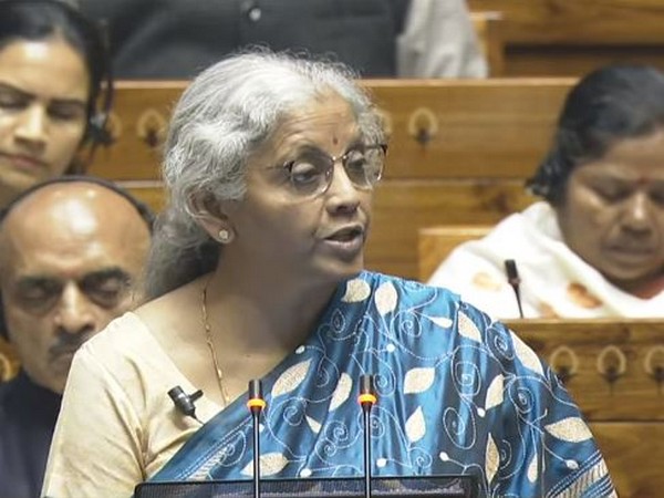 Union Finance Minister Nirmala Sitharaman (Photo/Sansad TV)