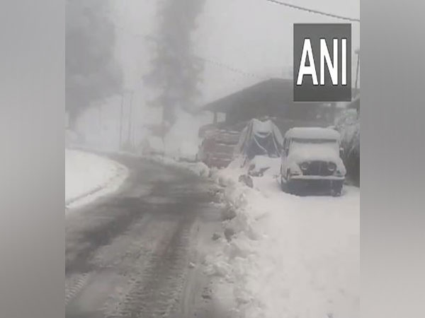 Visuals from Kharapathar, Shimla district (Image/ANI)