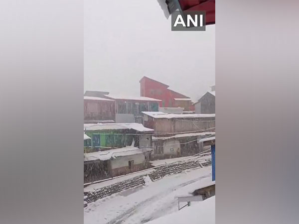 The Basantgarh Valley in Udhampur receives first snowfall of the year (Photo/ANI)