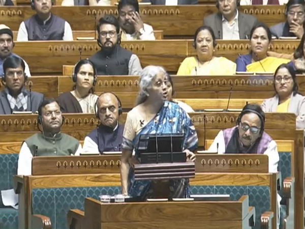 Union Finance Minister Nirmala Sitharaman (Photo/Sansad TV)