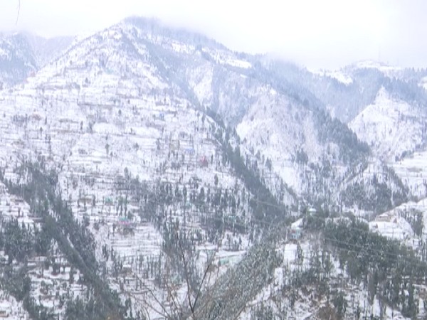 The Pirpanjal region in Rajouri District witnessed a delightful snowfall (Photo/ANI)