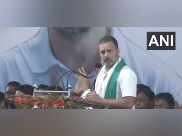 Congress leader Rahul Gandhi (Photo/ANI)