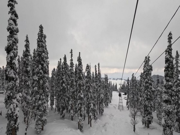 J-K's Gulmarg a winter wonderland for tourists and skiers. (Photo/ANI)