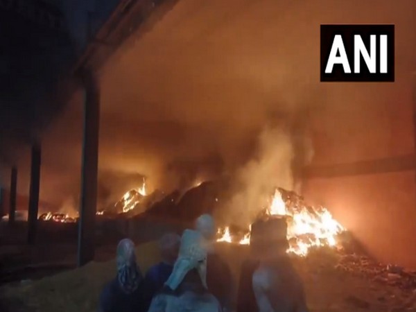 Visual from the site (Photo/ANI)