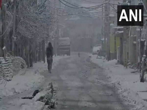 Heavy snowfall witnessed in Jammu and kashmir's Srinagar (Photo/ANI)