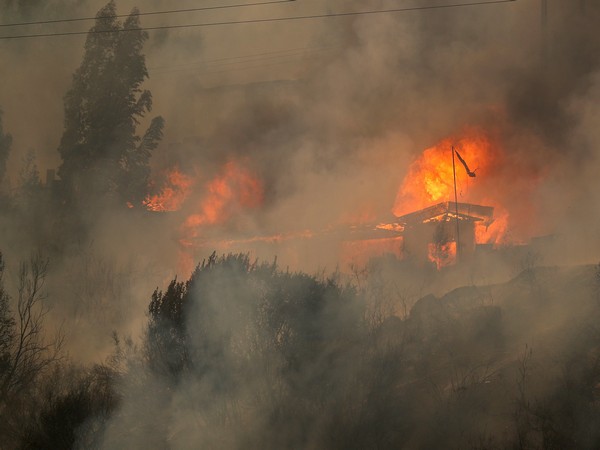 Chile forest fires (Source: Reuters)