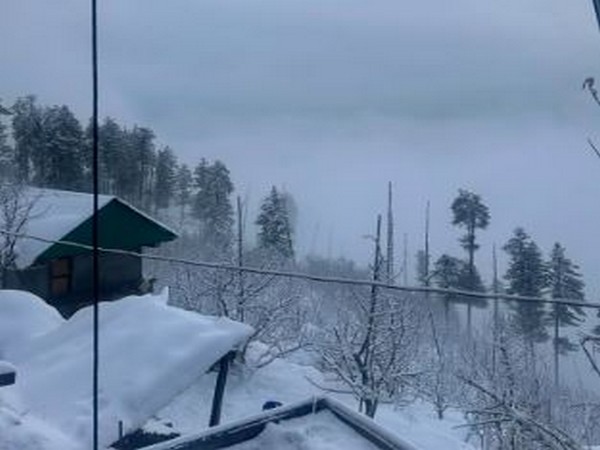 Thick blanket of snow covers hillstation Shimla (Image/ANI)