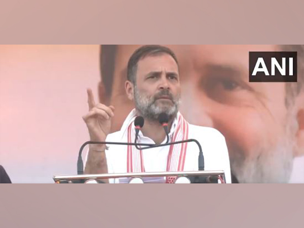 Congress MP Rahul Gandhi (Photo/ANI)