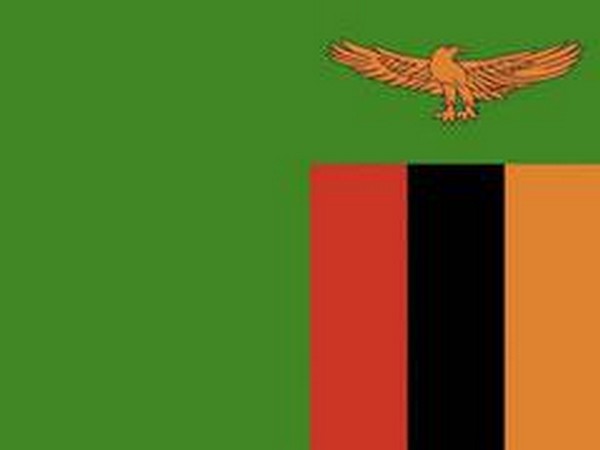 Flag of Zambia