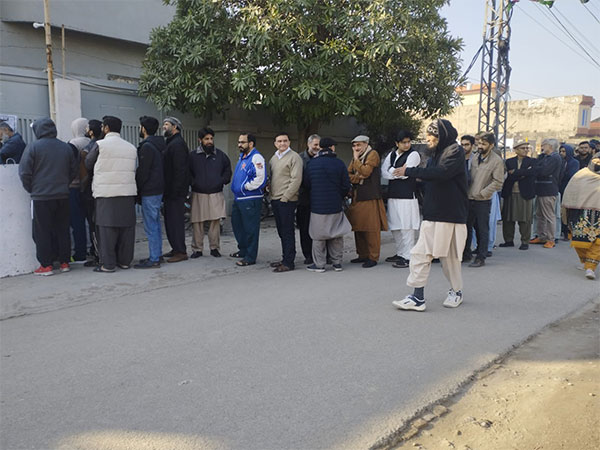 People queue to vote in Lahore (Photo/X @PTIofficial)