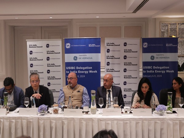 USIBC delegation at the India Energy Week in Goa (Photo/ANI)