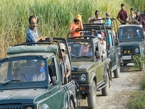 Assam's Kaziranga National Park records all-time high tourist footfall this season (Photo/ANI)