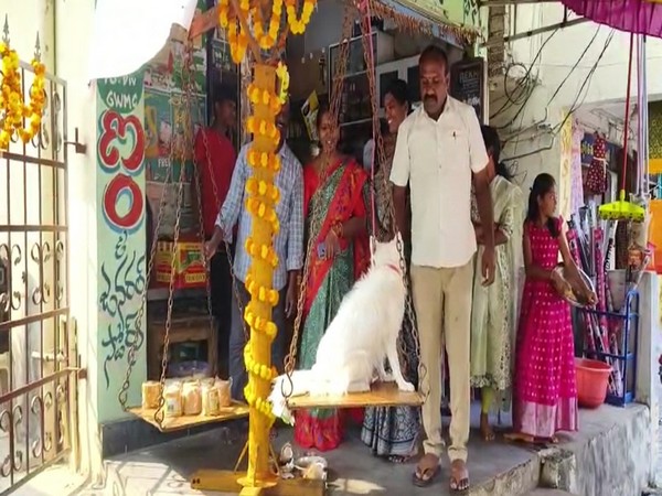 Family offers jaggery equal to pet dog's weight to Goddess Sammakka-Sarakka (Photo/ANI) 