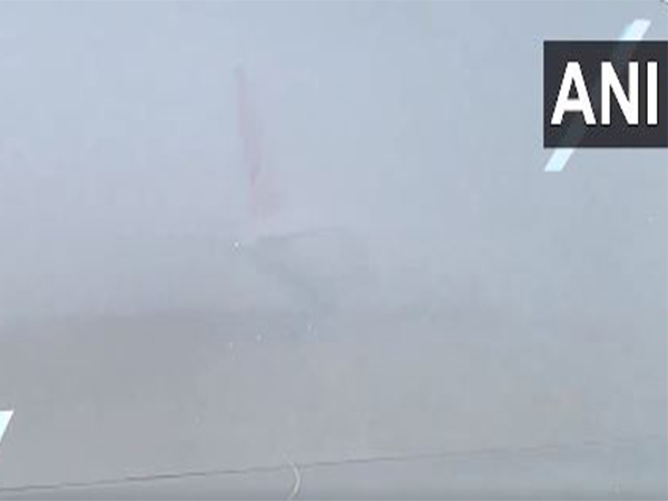 Fog at Indira Gandhi International airport