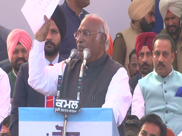 Congress President Mallikarjun Kharge. (Photo/ANI)