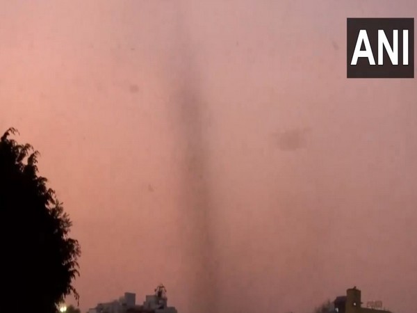 Swarm of mosquitoes form 'tornado' in areas of Pune (Image/ANI)