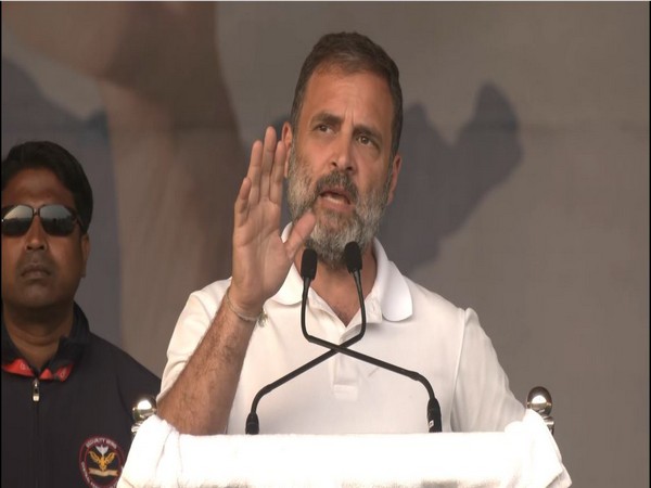 Congress leader Rahul Gandhi (Photo/ANI)