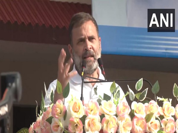 Congress MP Rahul Gandhi (Photo/ANI)