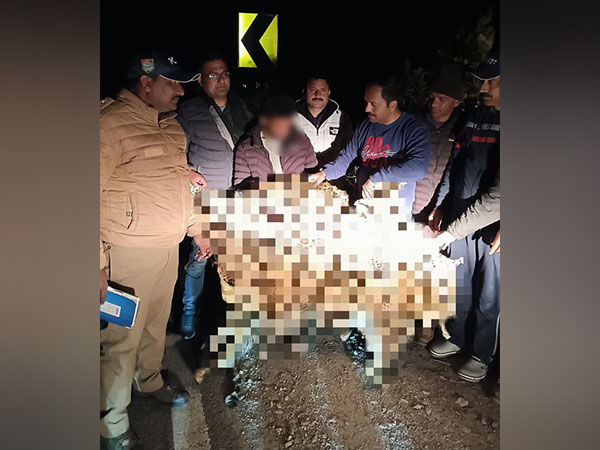 Wildlife smuggler nabbed with 2 leopard skins in Uttarkashi district (X/@UttarkashiPol)