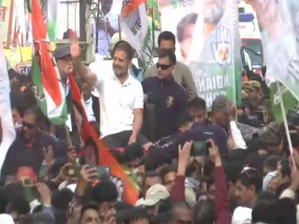 Congress leader Rahul Gandhi (Photo/ANI)
