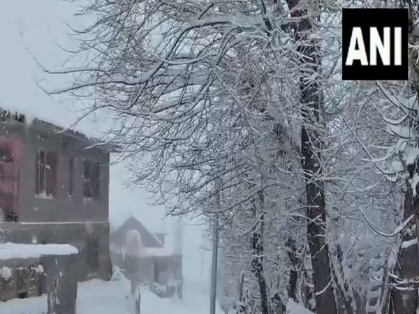 Fresh snowfall brings cheer to locals, tourists in Ladakh (Image/ANI)