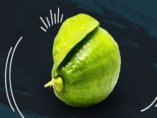 Assam lemon (File Photo)