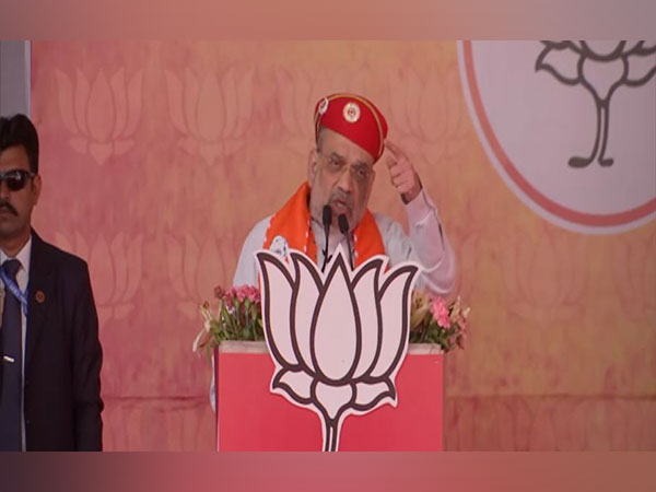 Union Home Minister Amit Shah. (Photo/ANI)