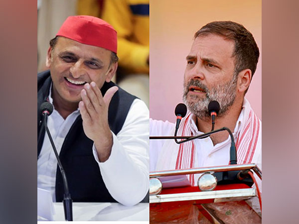 Samajwadi Party Akhilesh Yadav (Left) Congress leader Rahul Gandhi (Right) (Photo/ANI)