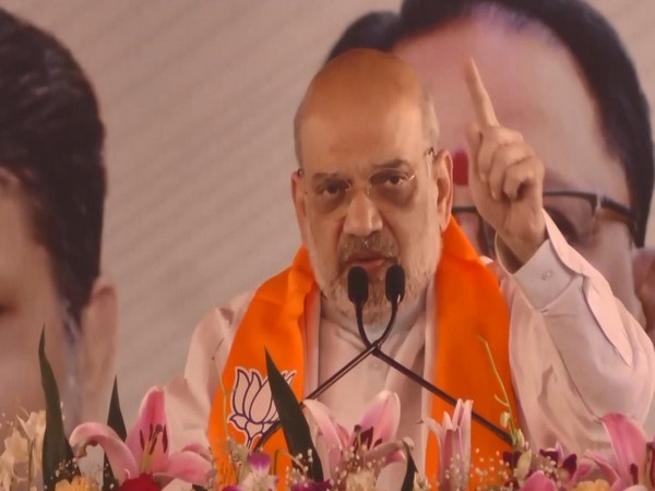 Union Home Minister Amit Shah (Photo/ANI) 