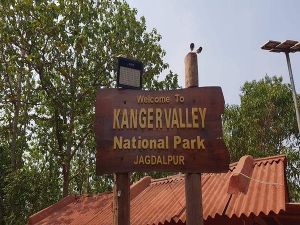 Bird Count India and Bird and Wildlife Chhattisgarh will jointly carry out the survey from February 25 to 27 (Photo credit: ANI)