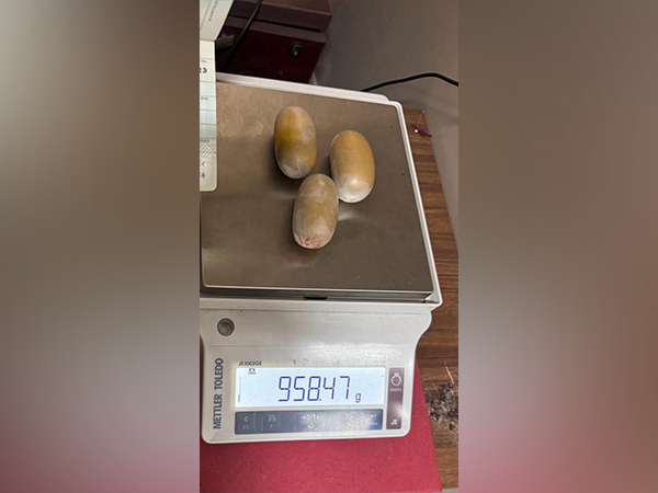 Three capsules seized from a passenger at Kochi Airport (Photo/ANI)