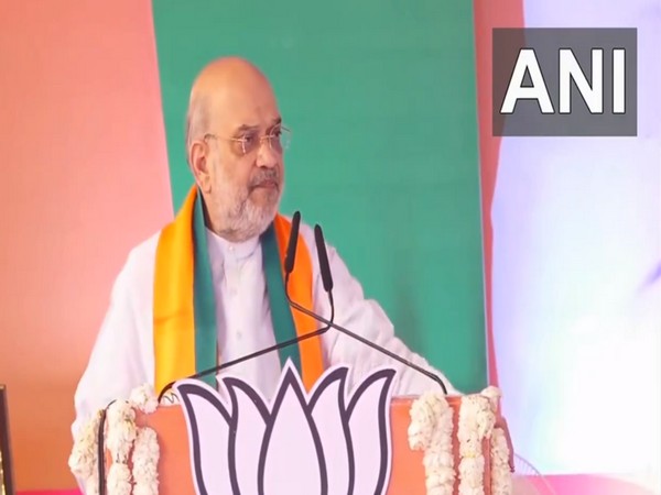 Union Home Minister Amit Shah (Photo/ANI)