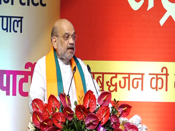 Union Home Minister Amit Shah (Photo/ANI)