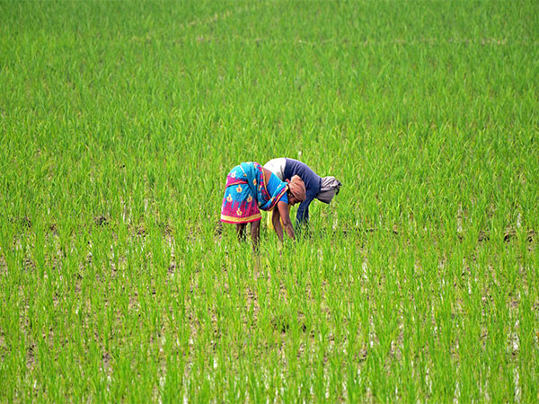 Representative image. (Photo/ANI)