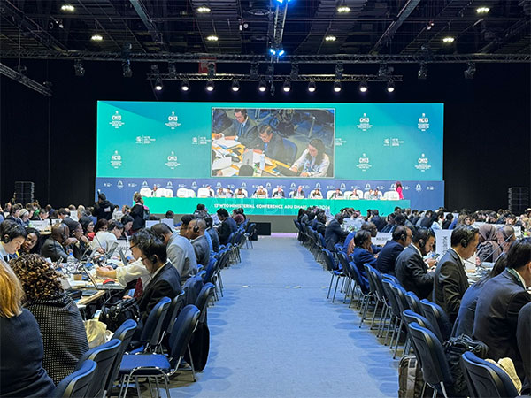 Ministers gather in the working session on WTO dispute settlement reform (Photo/X@wto)